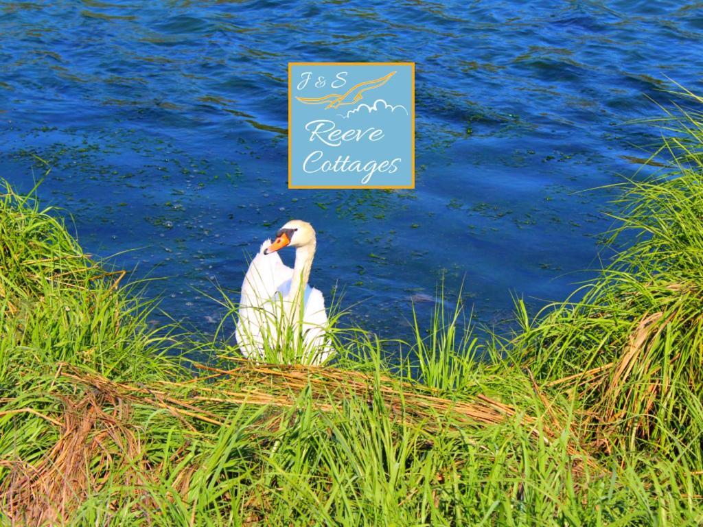 Premier Waterfront Cottage 2 Riverhead Zewnętrze zdjęcie